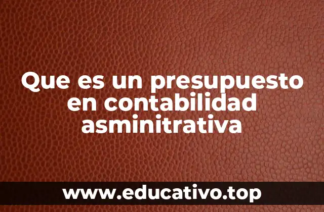 Que es un presupuesto en contabilidad asminitrativa