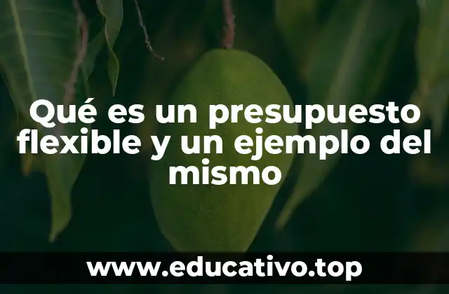 Qué es un presupuesto flexible y un ejemplo del mismo