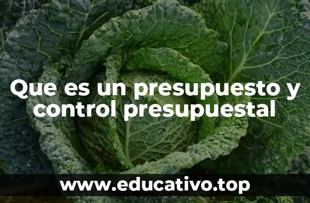 Que es un presupuesto y control presupuestal