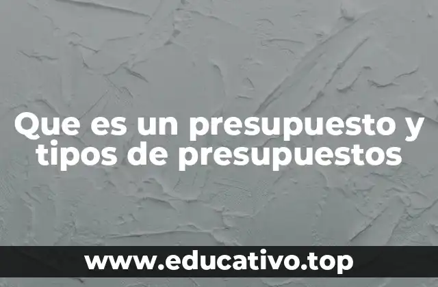 Que es un presupuesto y tipos de presupuestos