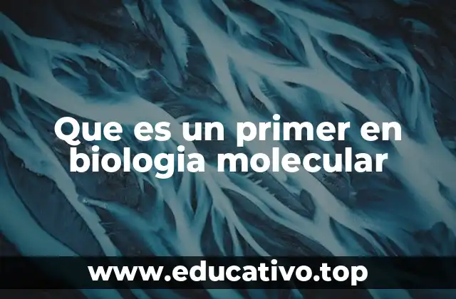Que es un primer en biologia molecular