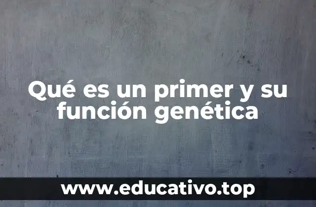 Qué es un primer y su función genética