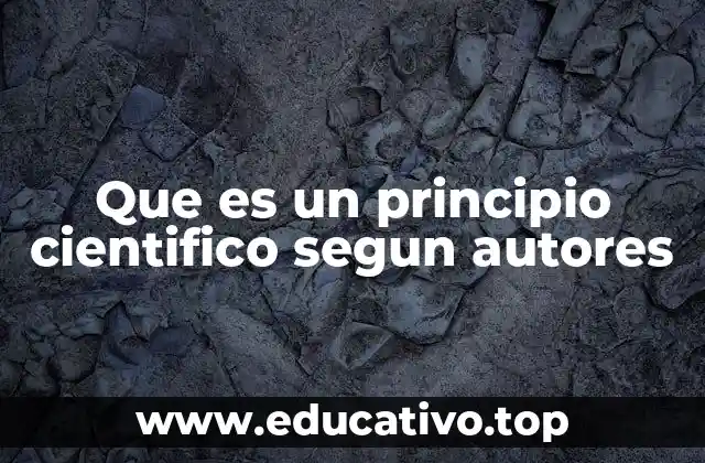 Que es un principio cientifico segun autores