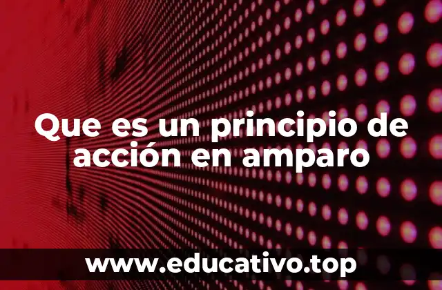 Que es un principio de acción en amparo