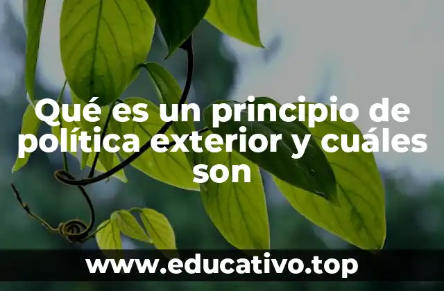 Qué es un principio de política exterior y cuáles son