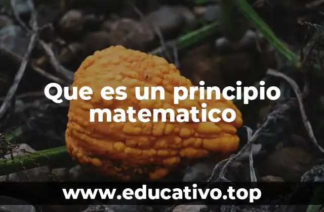 Que es un principio matematico