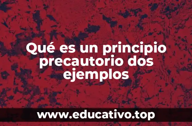 Qué es un principio precautorio dos ejemplos