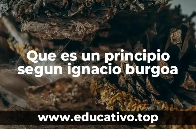 Que es un principio segun ignacio burgoa