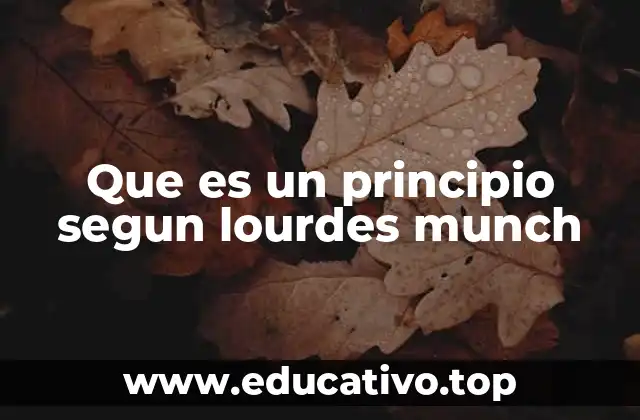 Que es un principio segun lourdes munch