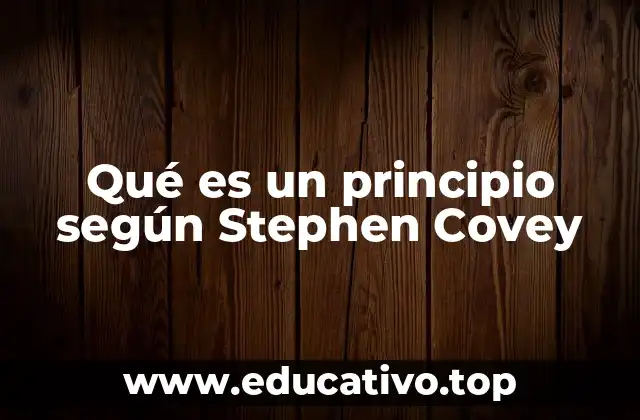Qué es un principio según Stephen Covey