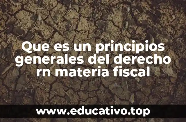 La importancia de los principios en la interpretación de leyes tributarias