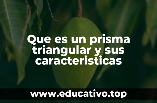 Características básicas del prisma triangular