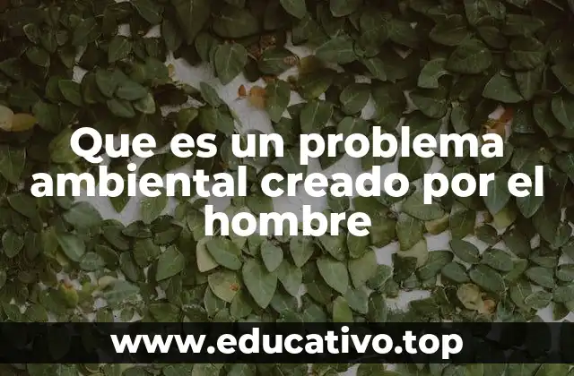 El impacto de la actividad humana en el entorno natural