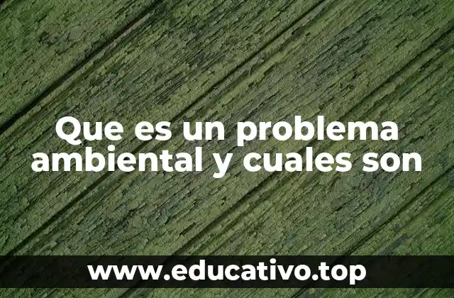 Que es un problema ambiental y cuales son