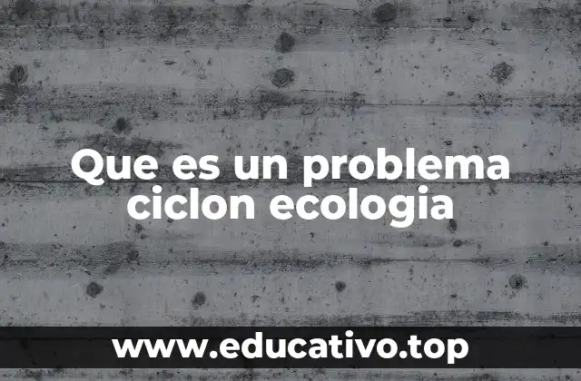 Que es un problema ciclon ecologia