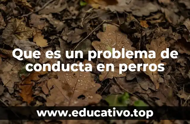 Que es un problema de conducta en perros