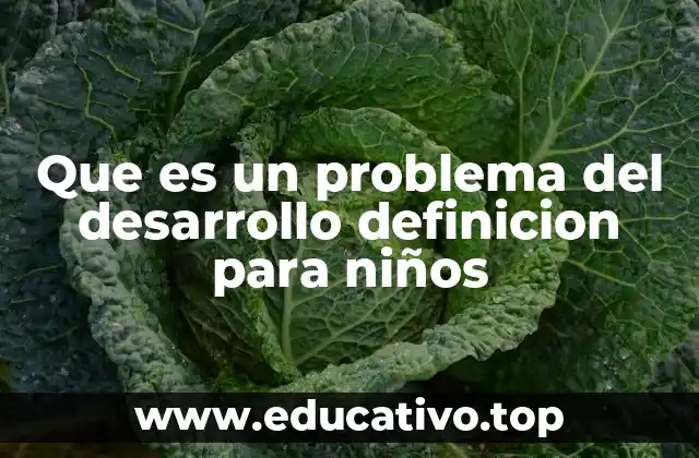Que es un problema del desarrollo definicion para niños
