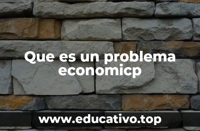 Que es un problema economicp