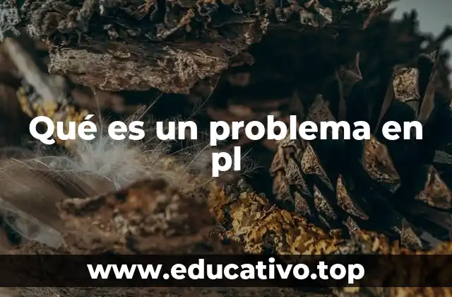 Qué es un problema en pl