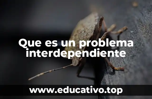 Que es un problema interdependiente