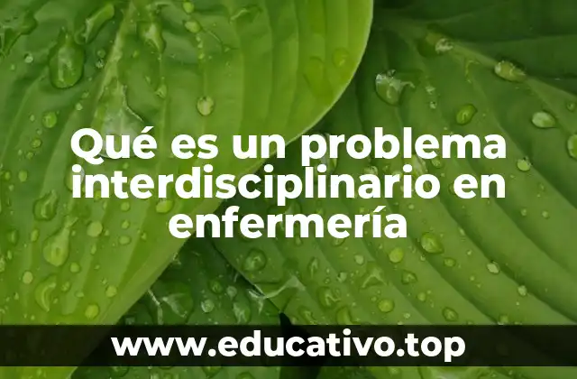 Qué es un problema interdisciplinario en enfermería