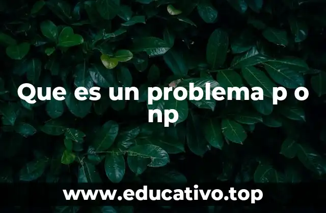 Que es un problema p o np