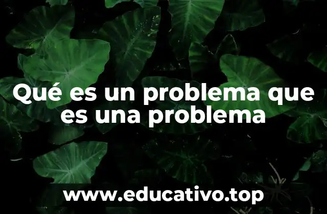 Qué es un problema que es una problema