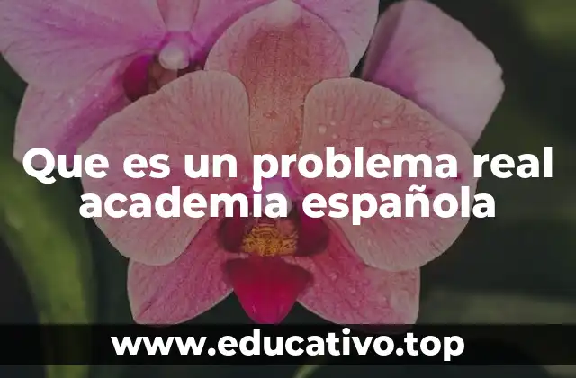 Que es un problema real academia española