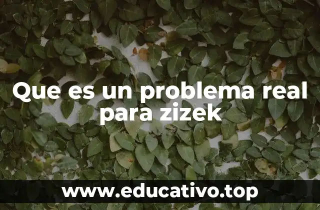 Que es un problema real para zizek