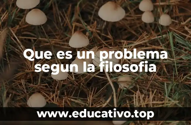 Que es un problema segun la filosofia