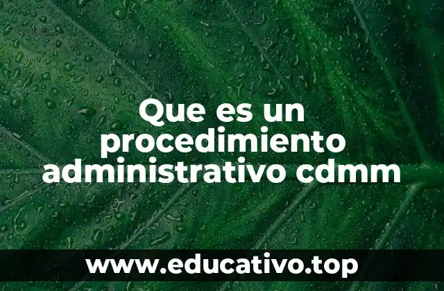 Que es un procedimiento administrativo cdmm