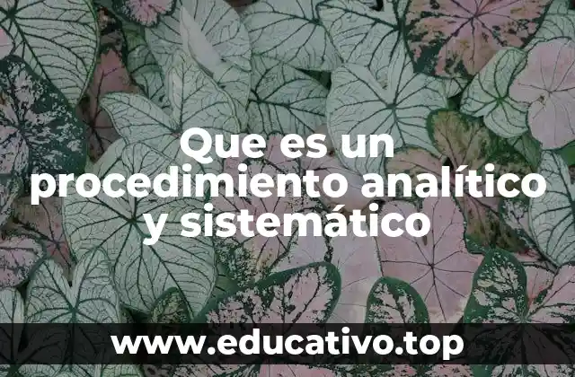 Que es un procedimiento analítico y sistemático