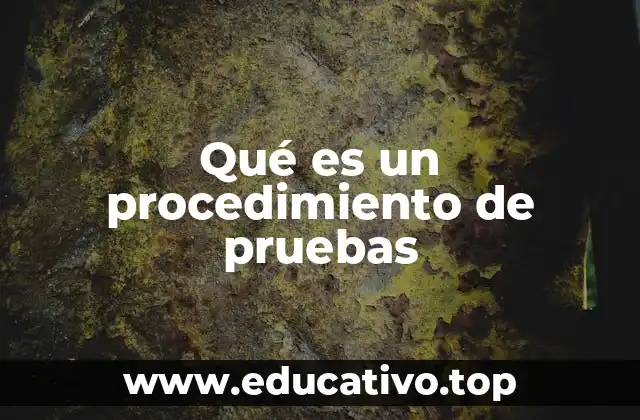 Qué es un procedimiento de pruebas