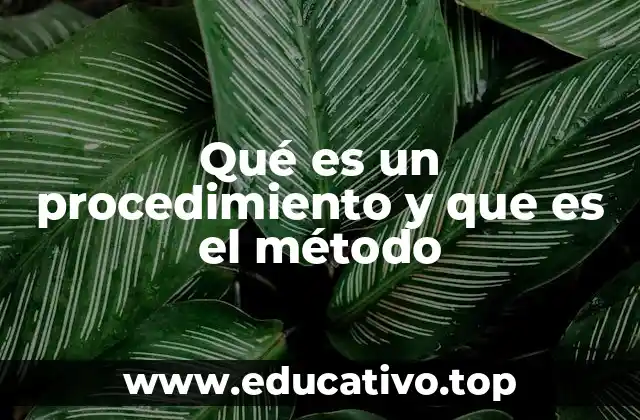 Qué es un procedimiento y que es el método