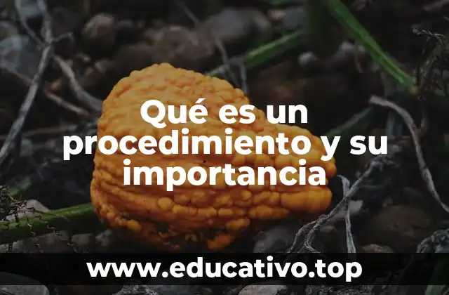 La base estructurada de los procesos organizacionales