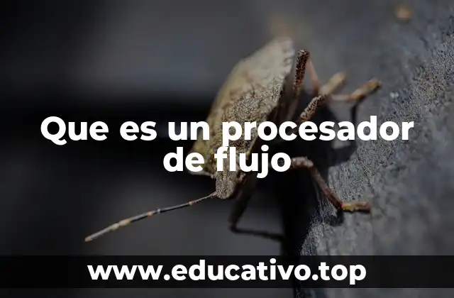 Que es un procesador de flujo