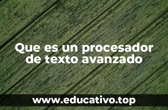 Que es un procesador de texto avanzado