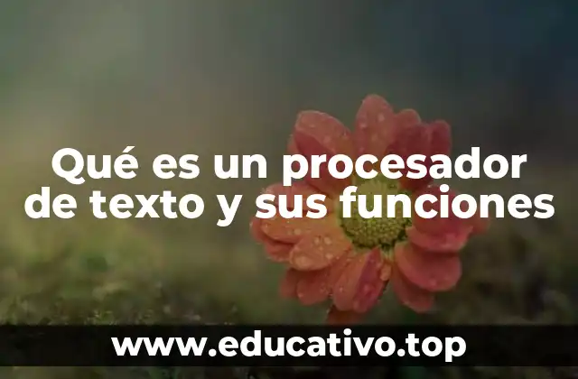 La importancia de las herramientas de edición digital en la vida moderna