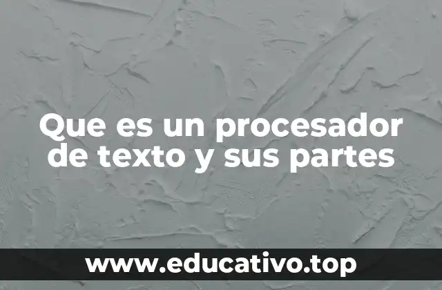 Que es un procesador de texto y sus partes