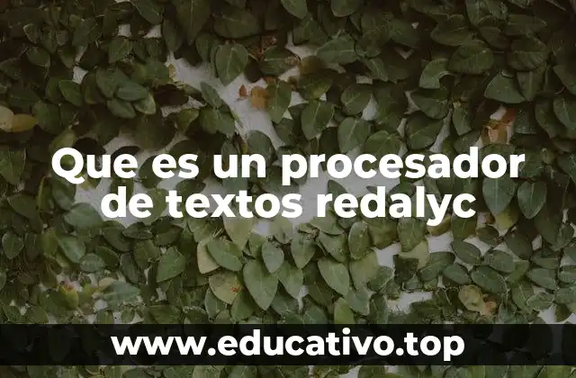 Que es un procesador de textos redalyc