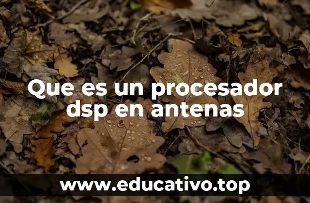 Que es un procesador dsp en antenas