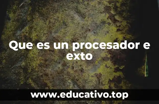 Que es un procesador e exto