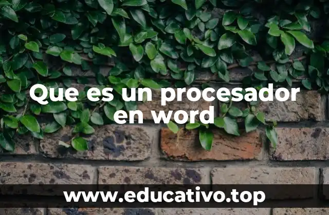 Que es un procesador en word