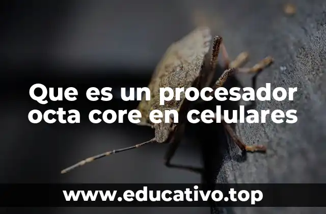 Que es un procesador octa core en celulares