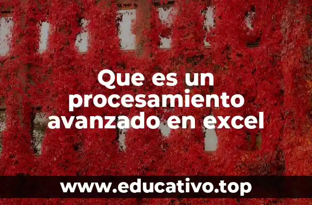 Que es un procesamiento avanzado en excel