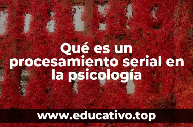 Qué es un procesamiento serial en la psicología