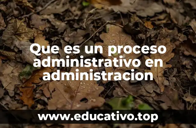 Que es un proceso administrativo en administracion