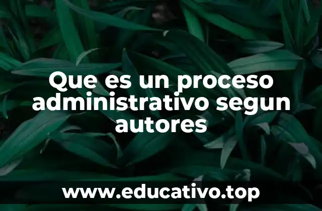 Que es un proceso administrativo segun autores