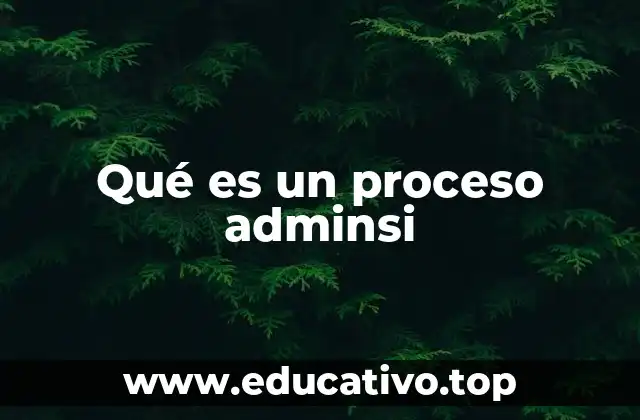 Qué es un proceso adminsi