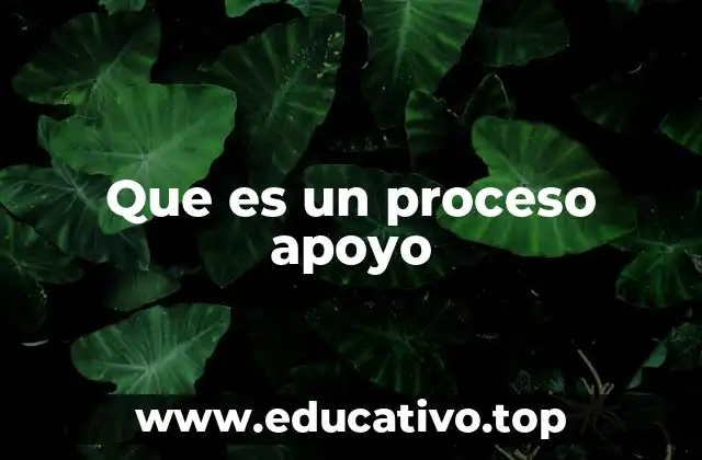Que es un proceso apoyo
